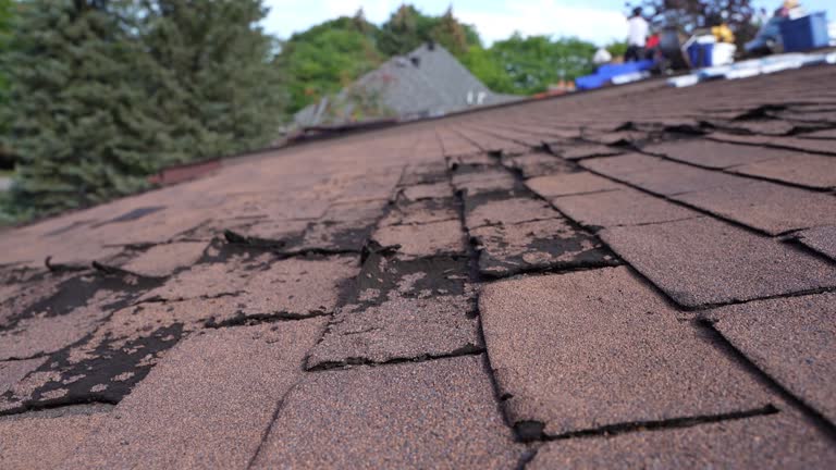 Best Hot Roofs  in Fenton, MO