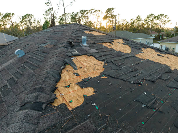 Best Roof Leak Repair  in Fenton, MO