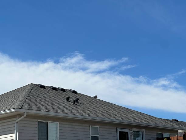 Best Solar Panel Roofing Installation  in Fenton, MO