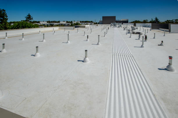 Best Sheet Metal Roofing  in Fenton, MO